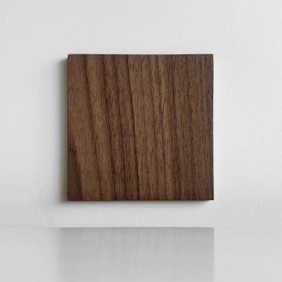Sample of walnut veneer