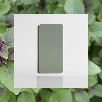 Color sample Sage Green
