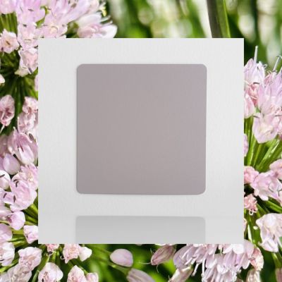 Classic laminated color sample Antique rose