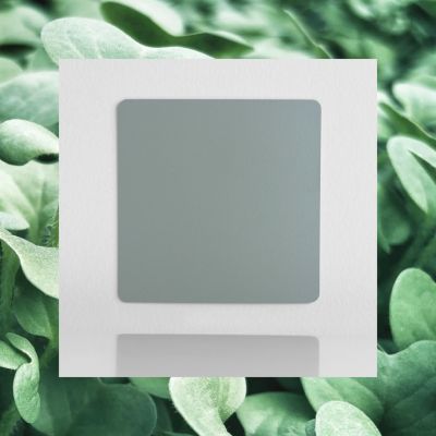 Classic laminated color sample Reed Green