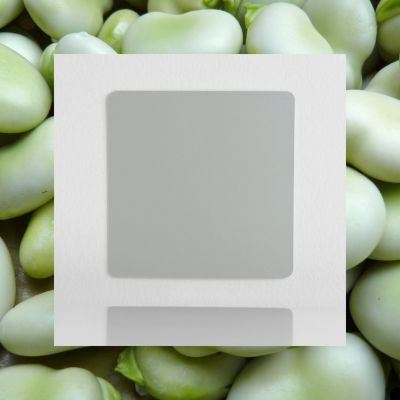 Classic laminated color sample Sage Green