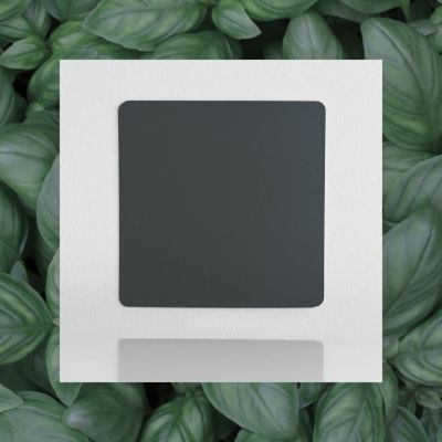 Classic laminated color sample Fir Green