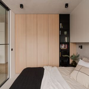 Doors for IKEA PAX system